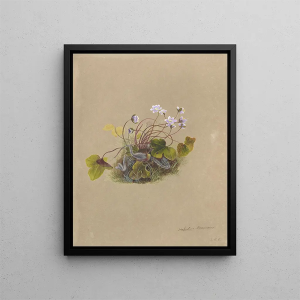 Deborah Griscom Passmore - Deborah Griscom Passmore watercolor album Pl07.webp
