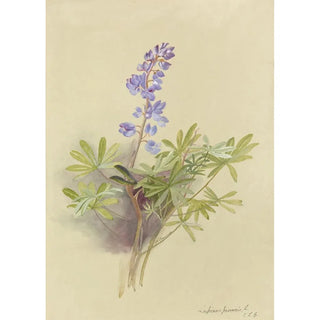 Deborah Griscom Passmore - Deborah Griscom Passmore watercolor album Pl11.webp