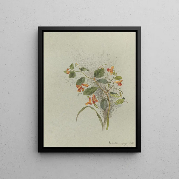 Deborah Griscom Passmore - Deborah Griscom Passmore watercolor album Pl15.webp