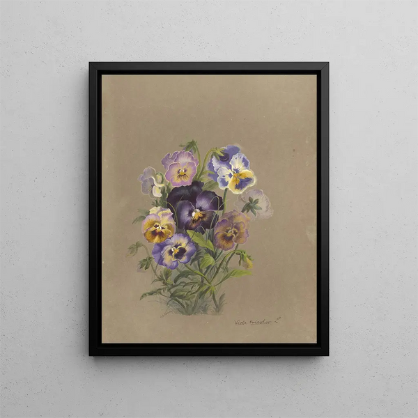 Deborah Griscom Passmore - Deborah Griscom Passmore watercolor album Pl17.webp