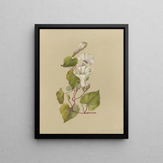 Deborah Griscom Passmore - Deborah Griscom Passmore watercolor album Pl33.webp