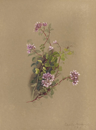 Deborah Griscom Passmore - Deborah Griscom Passmore watercolor album Pl39.webp