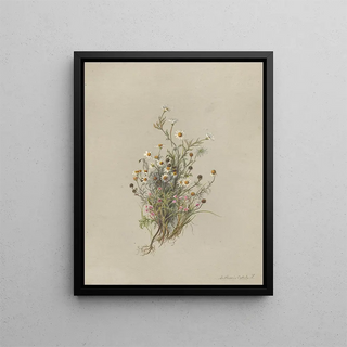 Deborah Griscom Passmore - Deborah Griscom Passmore watercolor album Pl48.webp