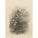 Reprodukcja obrazu Album akwareli Deborah Griscom Passmore Pl72 - Deborah Griscom Passmore
