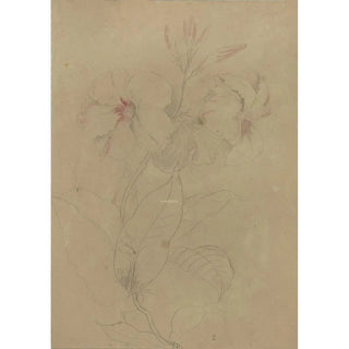 Deborah Griscom Passmore - Deborah Griscom Passmore watercolor album Pl78.webp