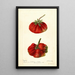 Reprodukcja obrazu Fragaria Dew - Deborah Griscom Passmore