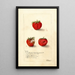 Reprodukcja obrazu Fragaria Gandy - Deborah Griscom Passmore