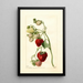 Reprodukcja obrazu Fragaria Timbrell - Deborah Griscom Passmore