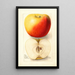 Reprodukcja obrazu Malus domestica Banana - Deborah Griscom Passmore