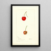 Reprodukcja obrazu Prunus avium Geer - Deborah Griscom Passmore