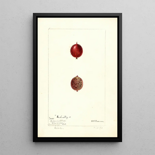 Deborah Griscom Passmore - Ribes Industry.webp