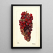 Vitis Bauch - Deborah Griscom Passmore — oprawiony obraz na ścianie