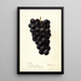 Reprodukcja obrazu Vitis McPike - Deborah Griscom Passmore