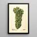 Vitis Sauvignon Vert - Deborah Griscom Passmore — oprawiony obraz na ścianie