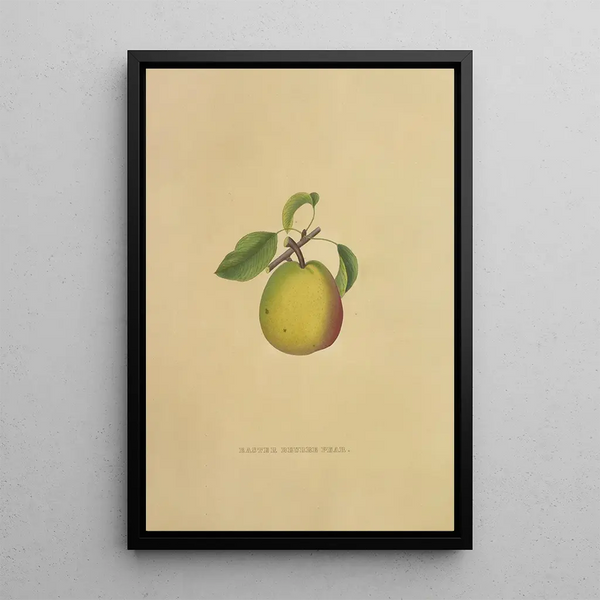 Dellon Marcus Dewey - Easter Beurre Pear.webp