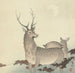 Dwa jelenie - Ohara Koson — widok dzieła