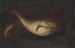 Martwa natura z dwoma rybami - Domenico Grosso — widok dzieła