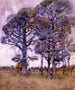 czarnego brzozy - Dorothy Richmond — widok dzieła