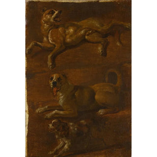 Dutch School - Three studies of dogs.webp
