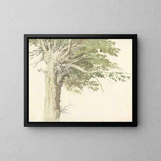 Edward Duncan - Study of a Pollarded Tree  a Willow.webp