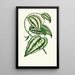 Smilax Macrophylla - Edward Joseph Lowe — oprawiony obraz na ścianie