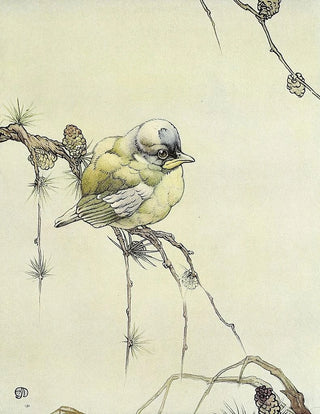 Edward Julius Detmold - The Blue Tit.webp