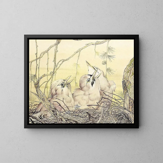 Edward Julius Detmold - The Jay.webp
