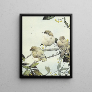 Edward Julius Detmold - The Willow Warbler.webp