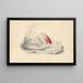 Różowy flaming - Edward Lear — oprawiony obraz na ścianie