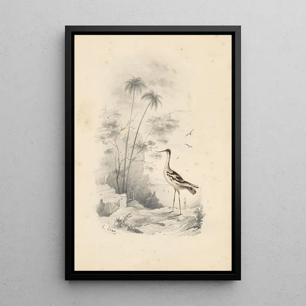 Reprodukcja obrazu Jedna czapla - Edward Lear