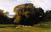Nuneham - Edward Lear — widok dzieła