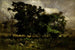 Pejzaż drzew - Edward Mitchell Bannister — widok dzieła
