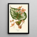 Reprodukcja obrazu Begonia rex - Edward Step