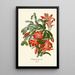 Reprodukcja obrazu Epiphyllum truncatum - Edward Step
