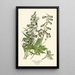 Reprodukcja obrazu hybrydowego delphinium - Edward Step