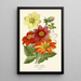 Reprodukcja obrazu Dahlia Simple - Edward Step