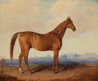 Amerykańskie zaćmienie na krajobrazie - Edward Troye — widok dzieła