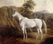 Boliwia - Edward Troye — widok dzieła