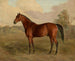 Pic du Kentucky - Edward Troye — widok dzieła