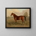 Pic du Kentucky - Edward Troye — oprawiony obraz na ścianie