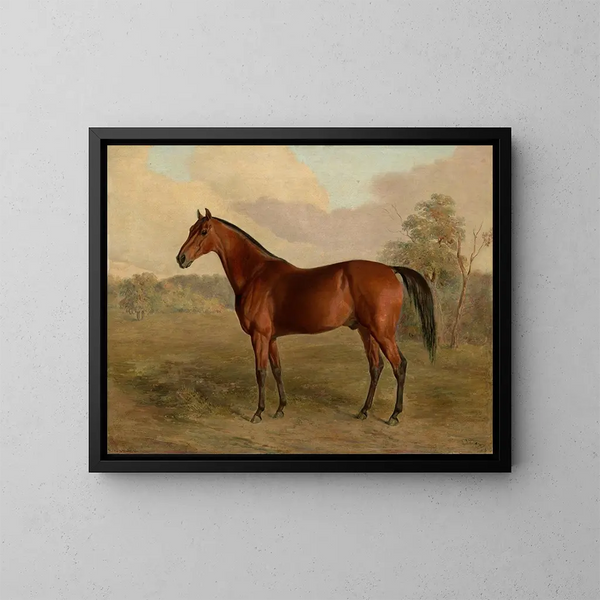 Pic du Kentucky - Edward Troye — oprawiony obraz na ścianie