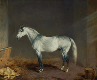 Edward Troye - Lightning A Gray Racehorse in a Stable.webp