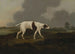 Na torze - Edwin Cooper — widok dzieła
