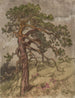 Kalliopetjä - Eero Järnefelt — widok dzieła