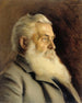 Portret M. Ahngera - Eero Järnefelt — widok dzieła