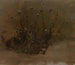 Dziko kwiaty - Elihu Vedder — widok dzieła