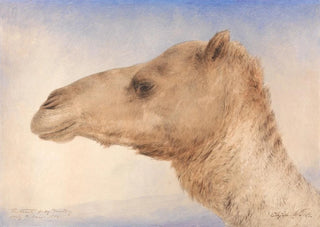 Elijah Walton - Portrait of the Artists Dromedary.webp