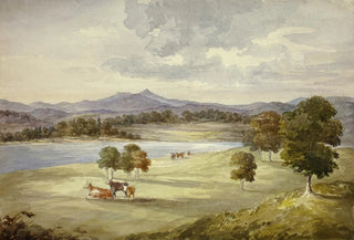Elizabeth Murray - Cows in Landscape.webp