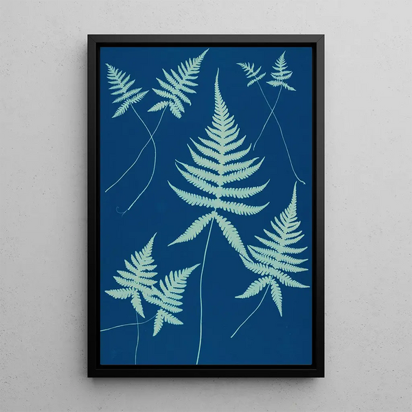 Ella J C Hurd - Ferns of Huntington Long Island Pl15.webp