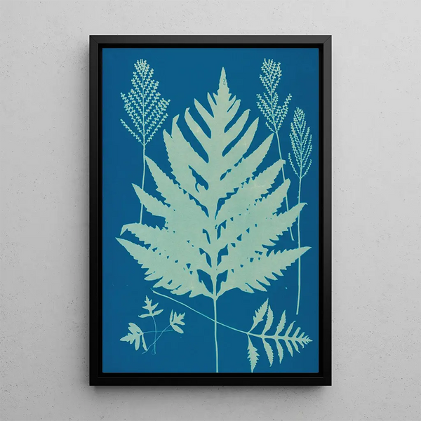 Ella J C Hurd - Ferns of Huntington Long Island Pl22.webp